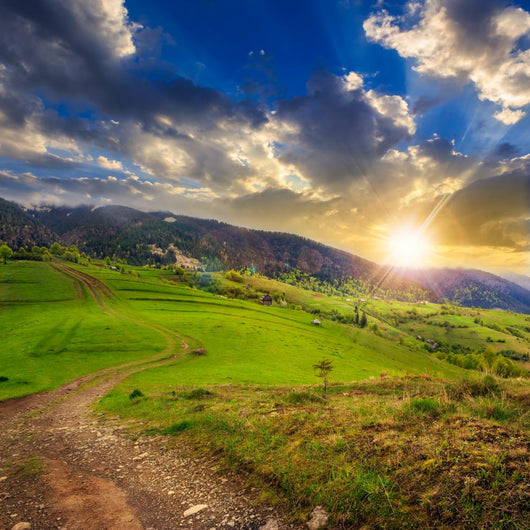 Path Hillside Meadow Mountain