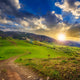Path Hillside Meadow Mountain