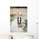 Dog Rain Boots Looks Wall Decal