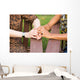 Unity Wall Decal