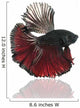 Halfmoon Betta Fighting Fish Wall Decal