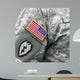 Us Army Uniform