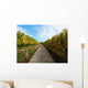 Vineyard Autumn Wall Decal