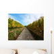 Vineyard Autumn Wall Decal