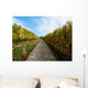 Vineyard Autumn Wall Decal