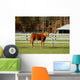 Horse Wall Mural