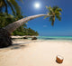 Coconut Beach