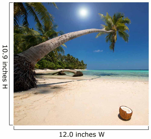 Coconut Beach