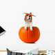 Beagle Pumpkin