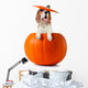 Beagle Pumpkin