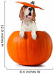Beagle Pumpkin