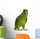 Yellow-naped Parrot (6 Years Old), Isolated on White Wall Decal