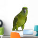 Yellow-naped Parrot (6 Years Old), Isolated on White Wall Decal