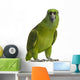 Yellow-naped Parrot (6 Years Old), Isolated on White Wall Decal