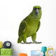 Yellow-naped Parrot (6 Years Old), Isolated on White Wall Decal