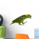 Yellow-naped Parrot (6 Years Old) Walking, Isolated on White Wall Decal