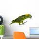 Yellow-naped Parrot (6 Years Old) Walking, Isolated on White Wall Decal