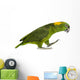 Yellow-naped Parrot (6 Years Old) Walking, Isolated on White Wall Decal