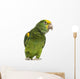 Yellow-headed Amazon 6 Months