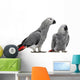African Grey Parrots Wall Decal