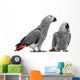 African Grey Parrots Wall Decal