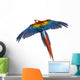 Scarlet Macaw Flying