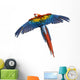 Scarlet Macaw Flying
