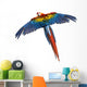 Scarlet Macaw Flying