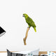 Yellow-naped Parrot (6 Years Old) Perched on a Branch, Isolated Wall Decal