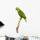 Yellow-naped Parrot (6 Years Old) Perched on a Branch, Isolated Wall Decal
