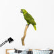 Yellow-naped Parrot (6 Years Old) Perched on a Branch, Isolated Wall Decal