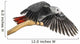 African Grey Parrot 3