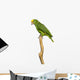 Yellow-headed Amazon Parrot Wall Decal
