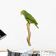Yellow-headed Amazon Parrot Wall Decal
