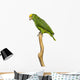 Yellow-headed Amazon Parrot Wall Decal