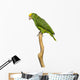 Yellow-headed Amazon Parrot Wall Decal