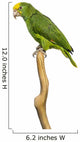 Yellow-headed Amazon Parrot Wall Decal