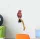 Rose-breasted Cockatoo (2 Years Old) Perched on a Branch Wall Decal