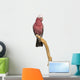 Rose-breasted Cockatoo (2 Years Old) Perched on a Branch Wall Decal