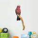 Rose-breasted Cockatoo (2 Years Old) Perched on a Branch Wall Decal