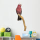 Rose-breasted Cockatoo (2 Years Old) Perched on a Branch Wall Decal