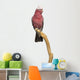 Rose-breasted Cockatoo (2 Years Old) Perched on a Branch Wall Decal