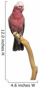Rose-breasted Cockatoo (2 Years Old) Perched on a Branch Wall Decal