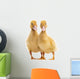 Two Ducklings Wall Decal