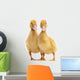 Two Ducklings Wall Decal
