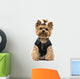 Yorkshire Terrier Wall Decal