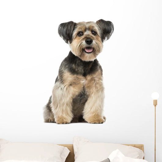 Crossbreed Dog Wall Decal