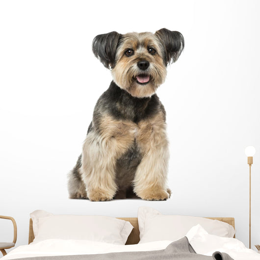Crossbreed Dog Wall Decal