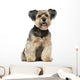 Crossbreed Dog Wall Decal