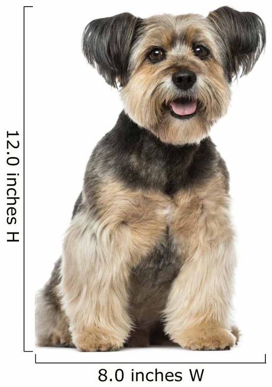Crossbreed Dog Wall Decal